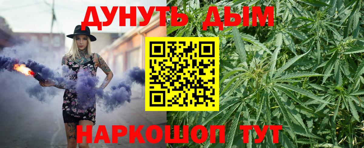 Конопля план Мирный
